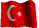 bayrak.gif